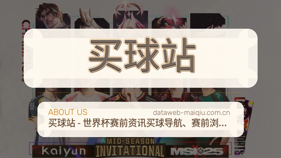 买球站关于我们